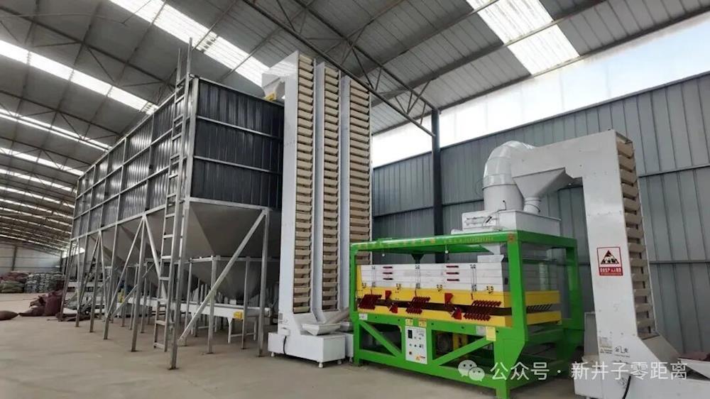 发展新兴特色经济 打造食葵全产业链