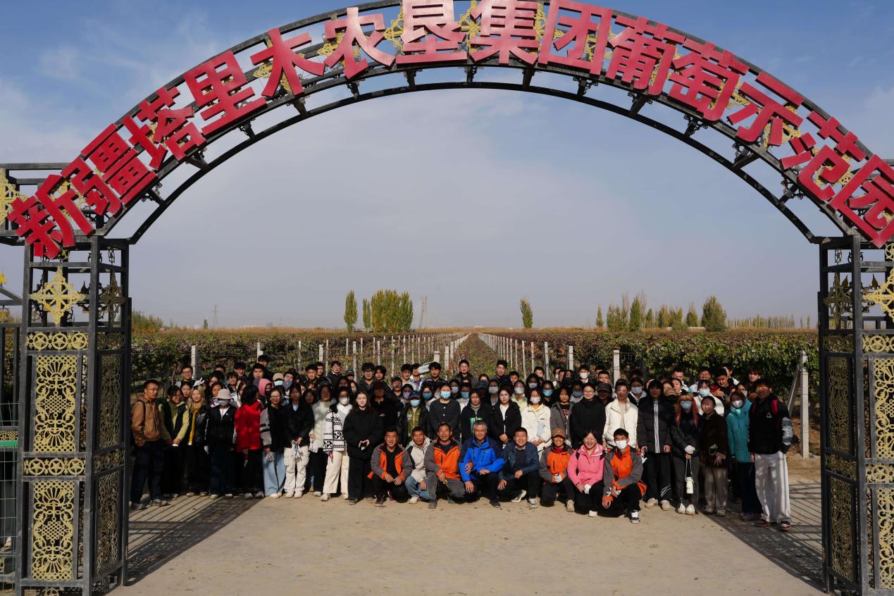 塔里木大学农学院学子赴均晖农业开展冬季果树修剪实践活动