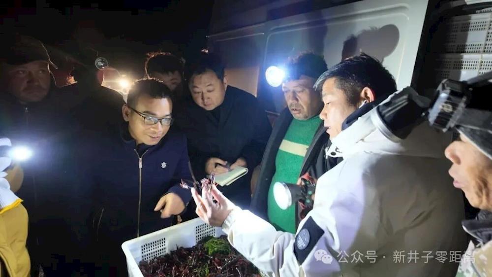 二团从杭州引进克氏鳌虾