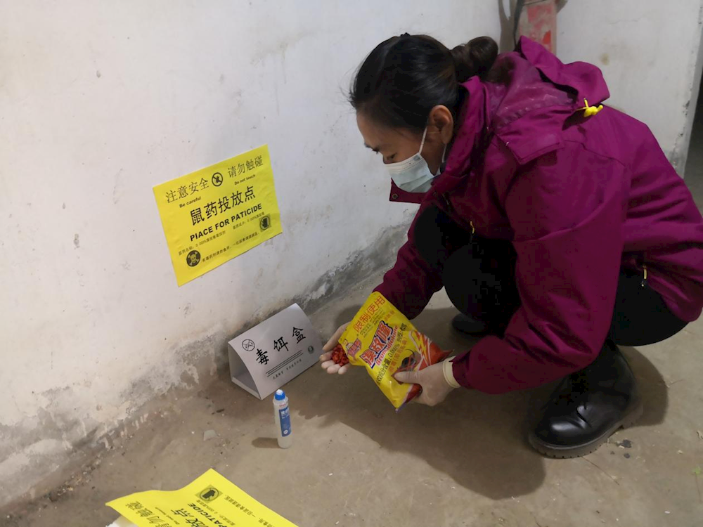 全域清洁防未病，干干净净迎新春