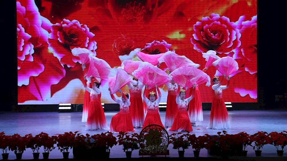 一团金银川镇举行2026年“策马新征程 奋进新时代”百姓春节联欢晚会