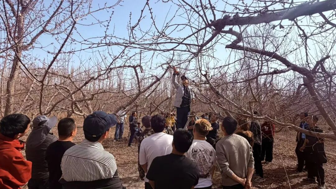 四团开展技能培训“零距离”铺就就业