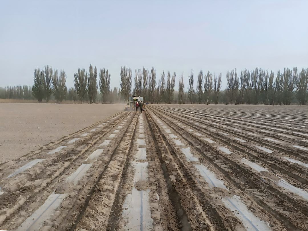 【春耕春播】四团6连特色葫芦瓜种植启春耕