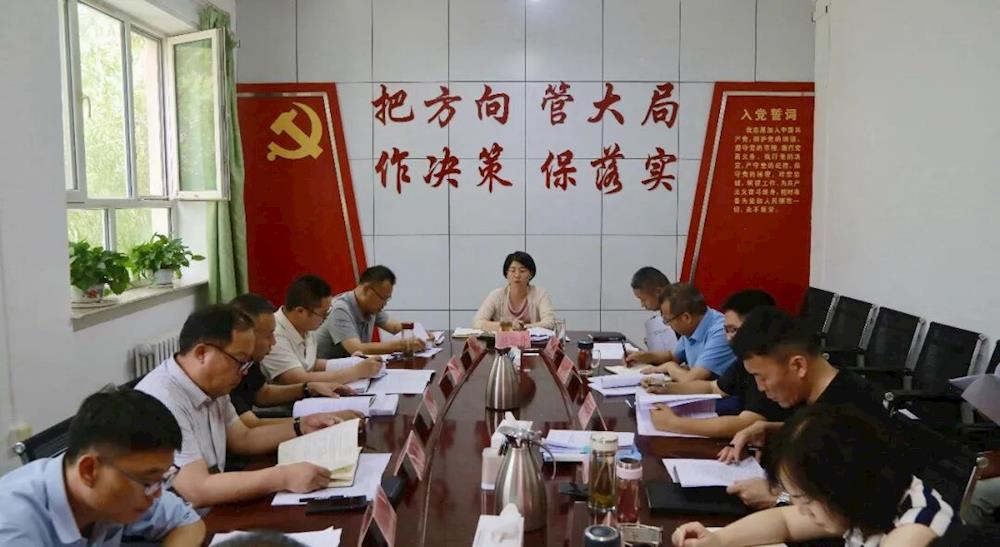 六团召开2026年政府投资项目推进会第2次会议