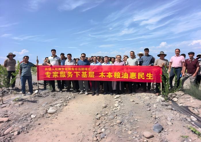 【团内动态】专家“把脉”吊干杏 科技赋能促增收