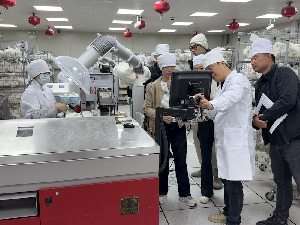 中国棉花协会马爱芳一行赴阿拉尔纤维检验所调研—推进可持续棉花落地工作